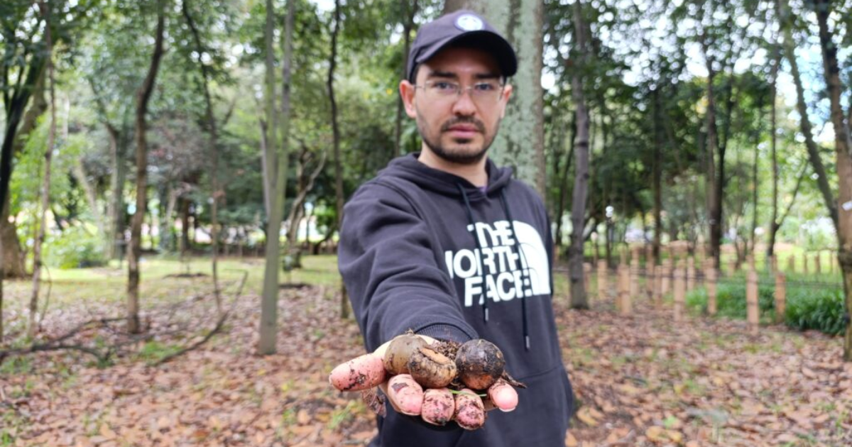 Encontrémonos en bosques urbanos, estrategia Jardín Botánico Bogotá