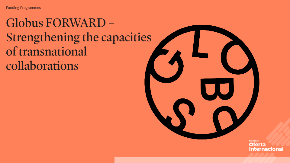 Convocatoria de la Fundación Nórdica de Cultura para redes artísticas