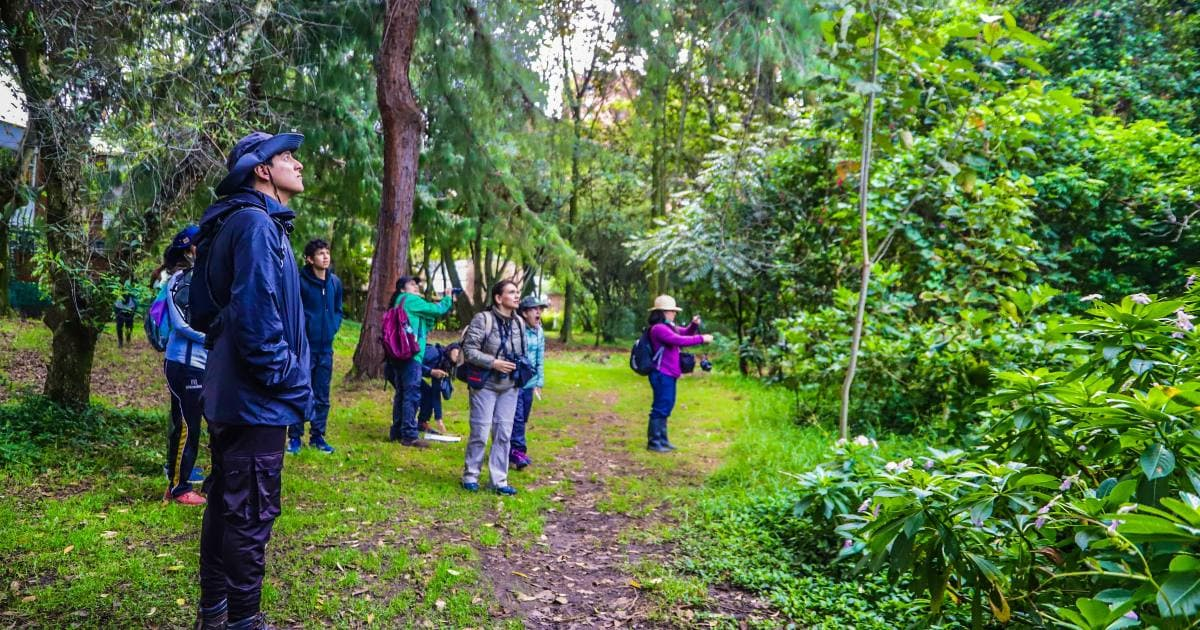 Actividades ambientales por los 487 años de Bogotá agosto de 2025