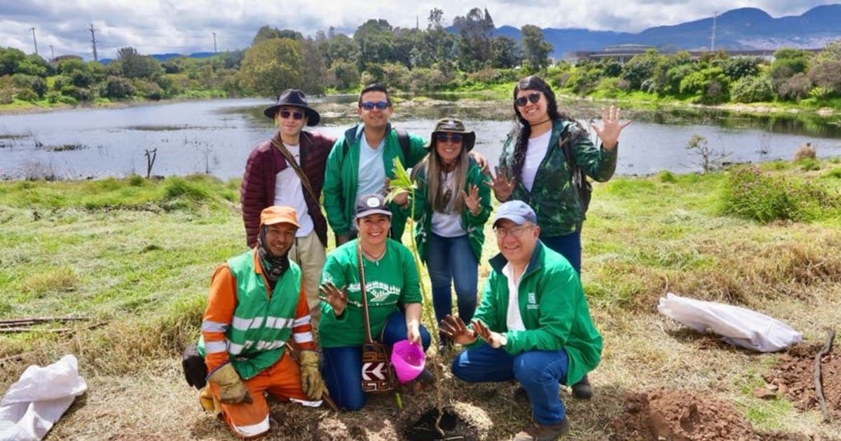 Restauración del humedal El Tunjo Bogotá con plantación de 80 árboles