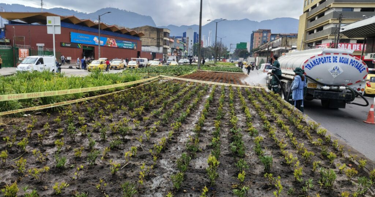 Bogotá revitaliza jardines y separadores en inmediaciones a Paloquemao