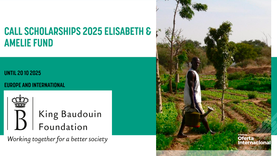 Beca para estudiantes de países en desarrollo en Bélgica. Fundación Rey Balduino