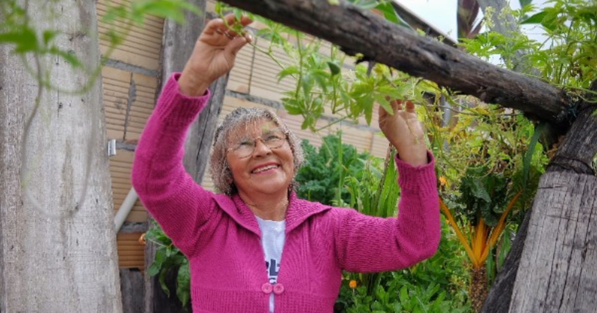 Convocatoria en Bogotá para operar los Centro Día tu Casa del Distrito