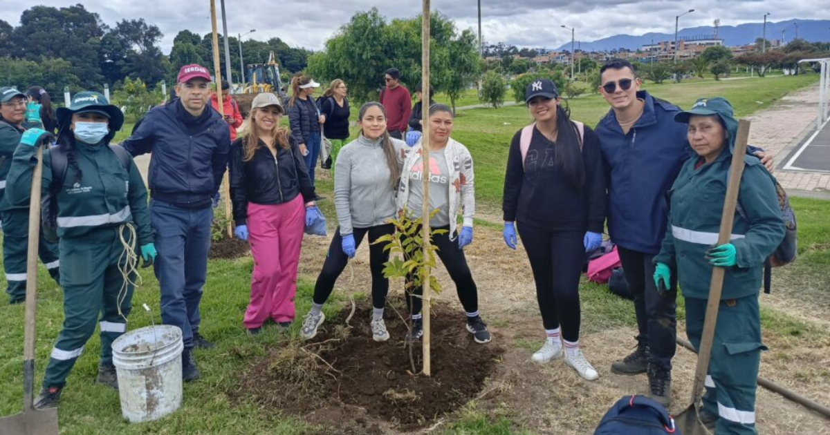 En el Día de la Calidad del Aire Bogotá recibe más de 250 árboles