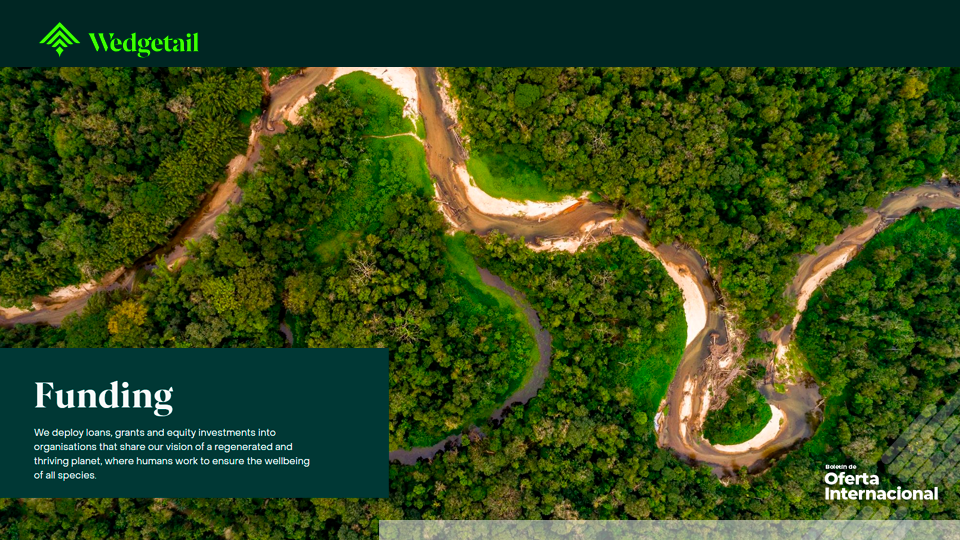 Wedgetail Ventures: financiación global flexible para emprendedores de Bogotá