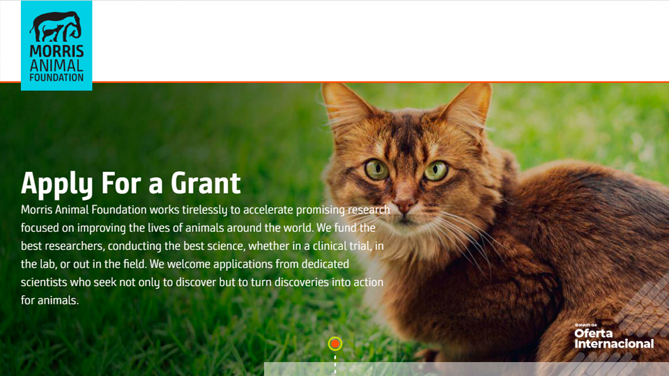 Fondo internacional de investigación en salud animal. Morris Animal Foundation
