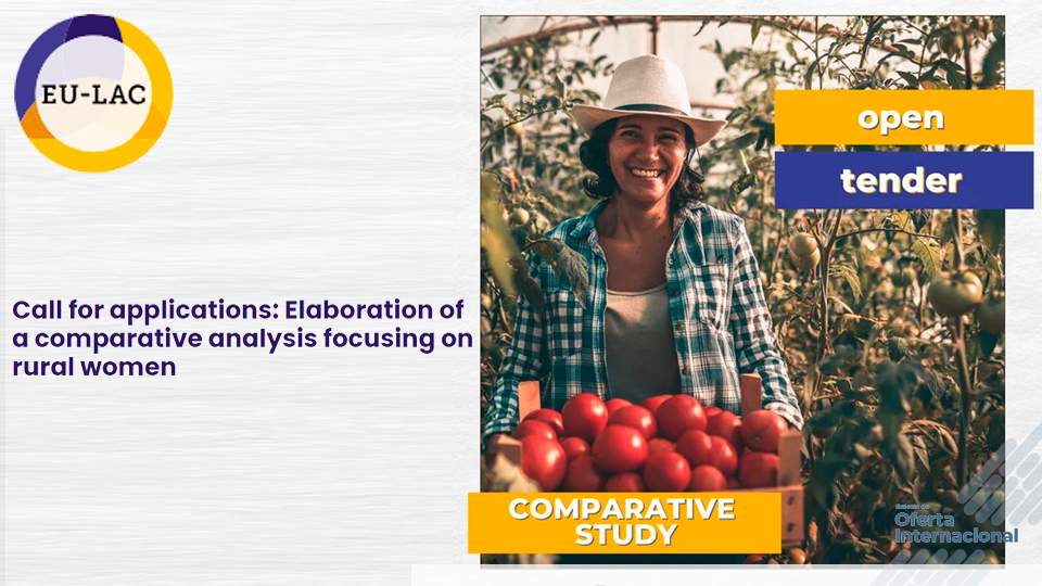 Convocatoria internacional de investigación. Fundación EU-LAC