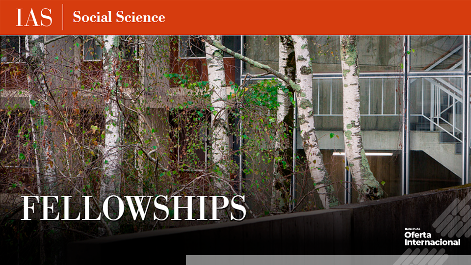 Programa de residencia académica en el Instituto de Estudios Avanzados, Princeton.