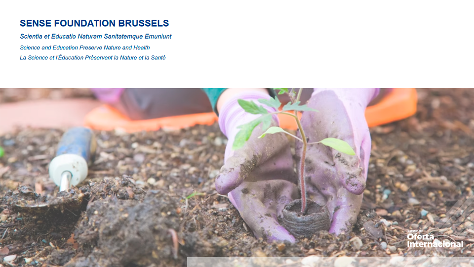 Convocatoria internacional de subvenciones para proyectos sociales, de salud, sostenibilidad y cultura.