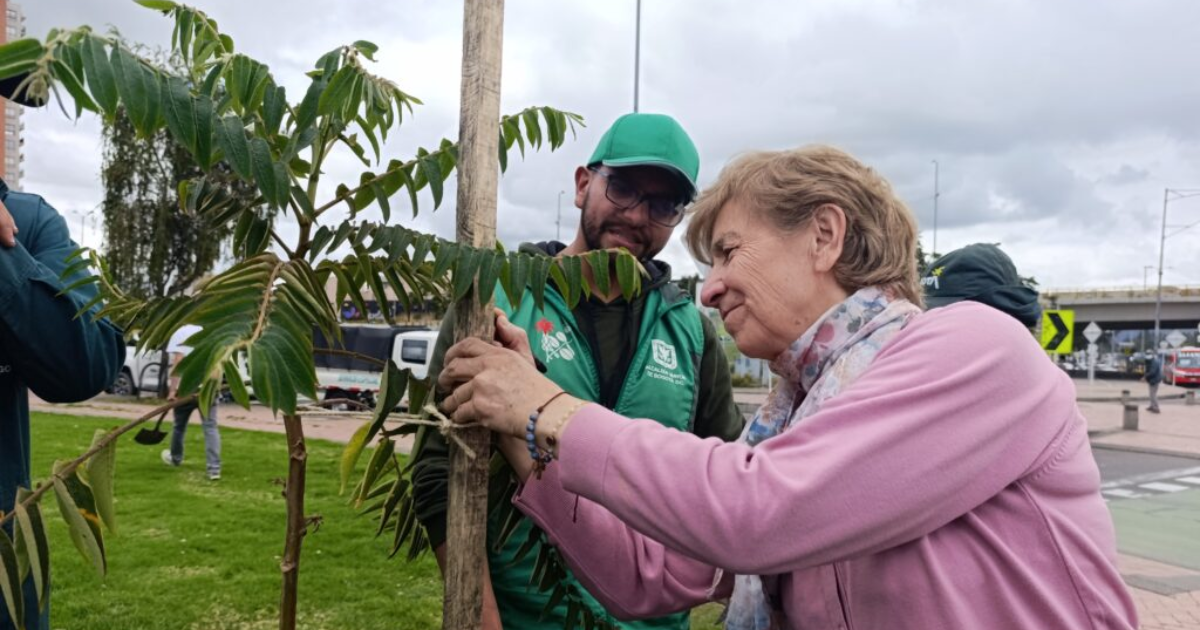 Se embellece la avenida Tabor de Bogotá con más arborización