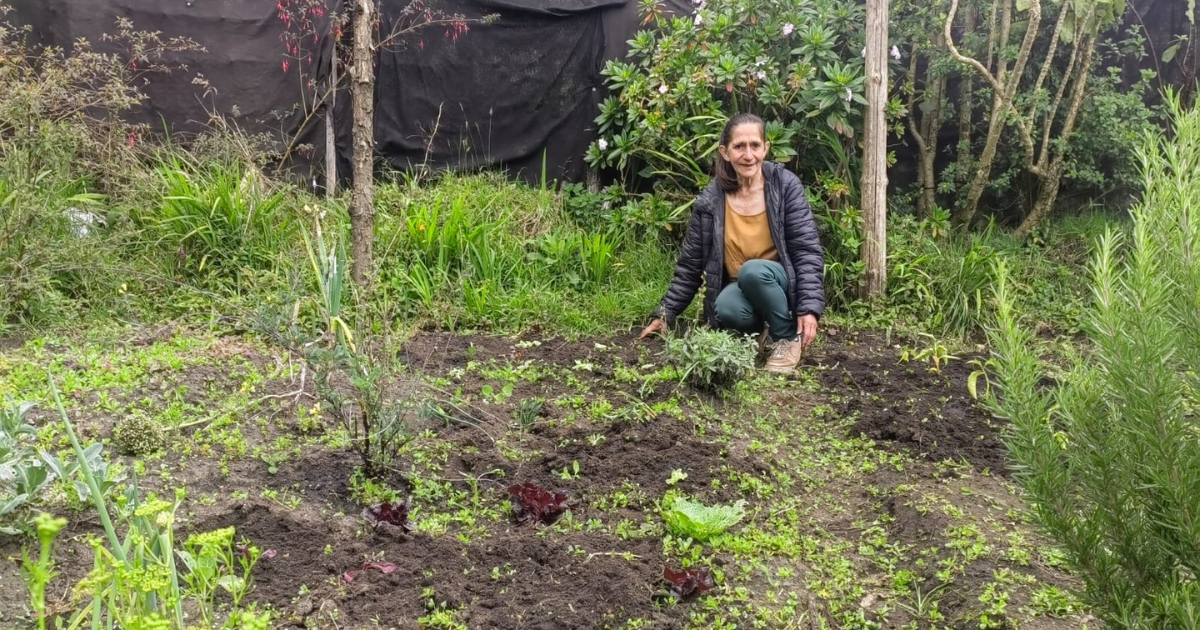 Plataforma digital huertas en Bogotá Localidad de Chapinero