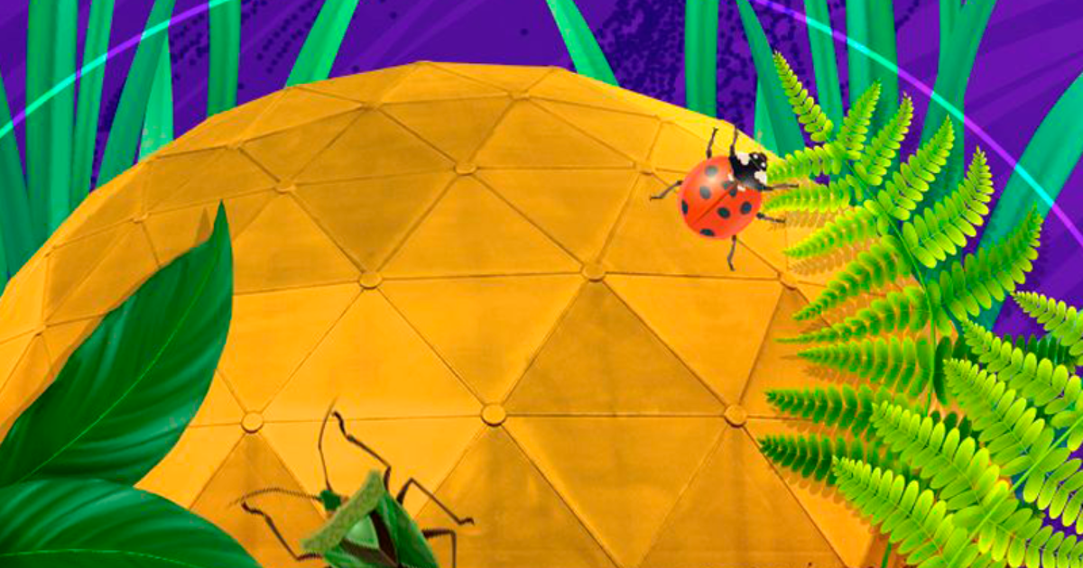 Imagen de un mundo de color amarilla en el que se mueven una mariquita y un saltamontes, a su alrededor hay varias plantas verdes