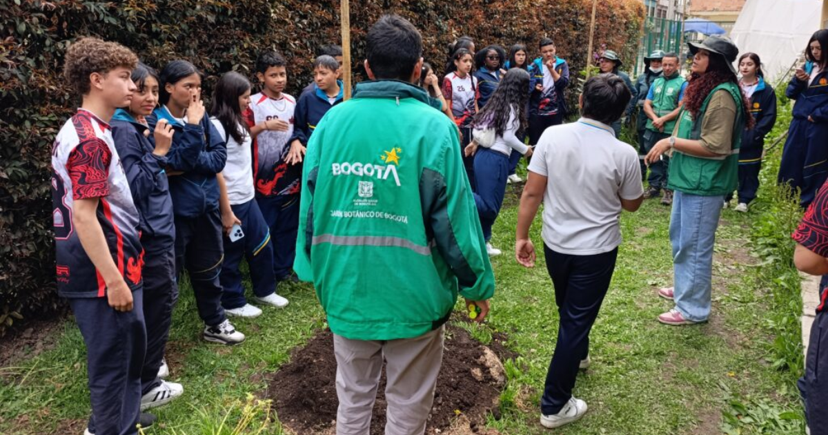 Personas sembrando árboles en la localidad