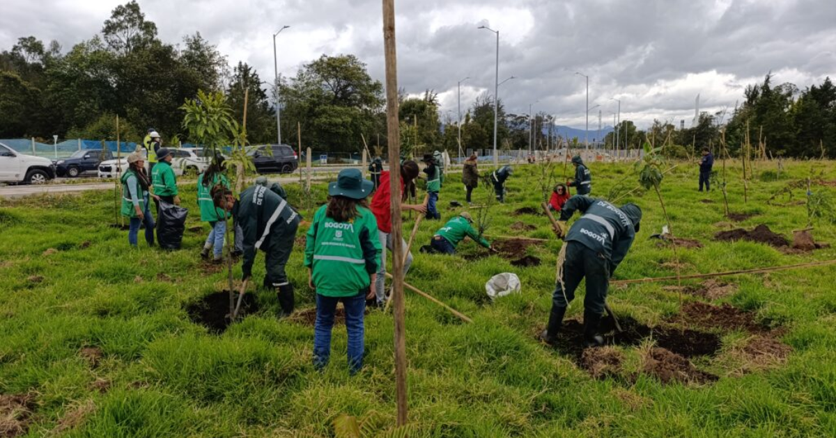 Imagen renaturalizando el nuevo corredor ecológico
