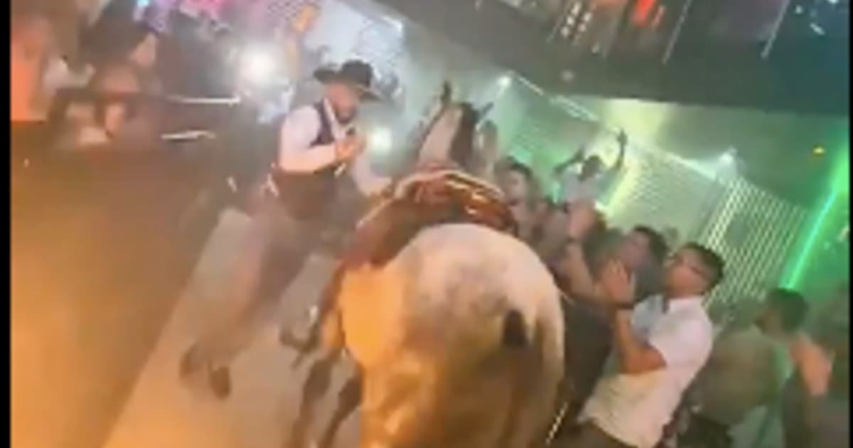 Foto que sustenta la denuncia de maltrato de caballo en bar Bogotá