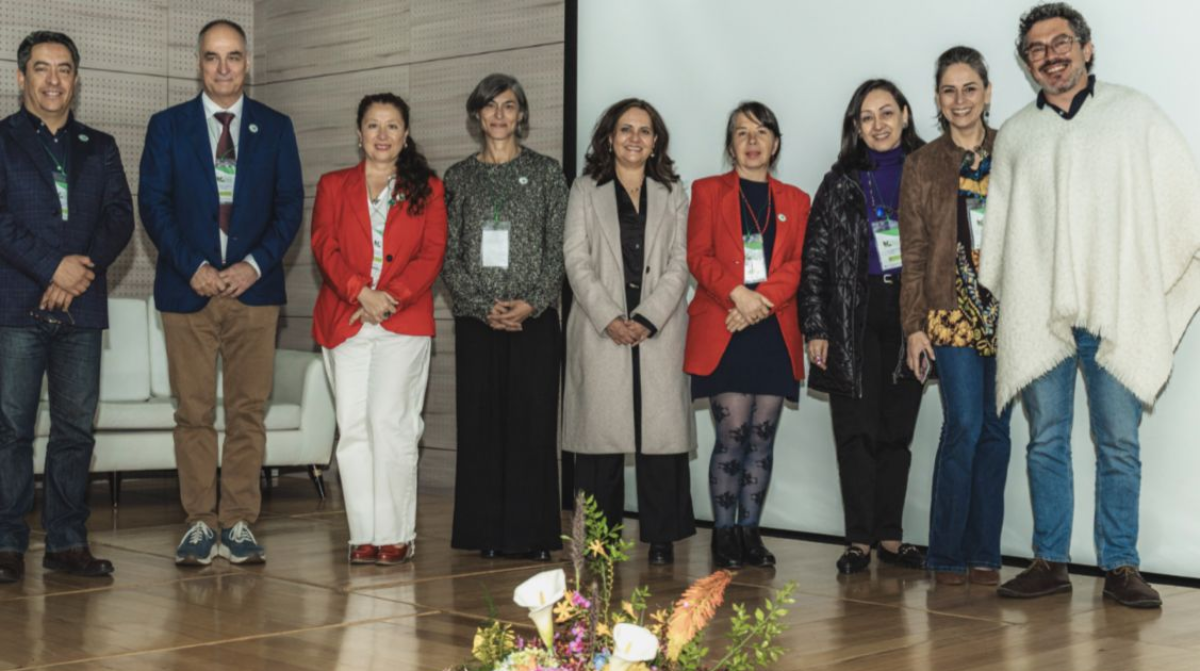 Imagen de los expositores Internacionales