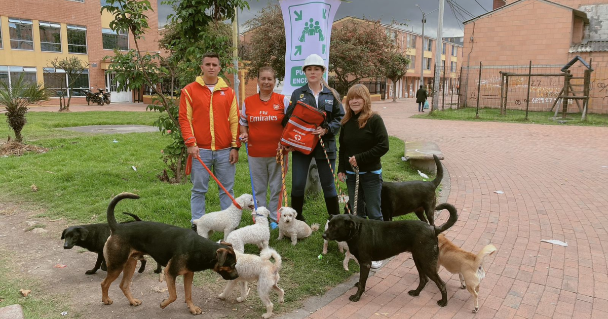 Imagen de personas con varios perros