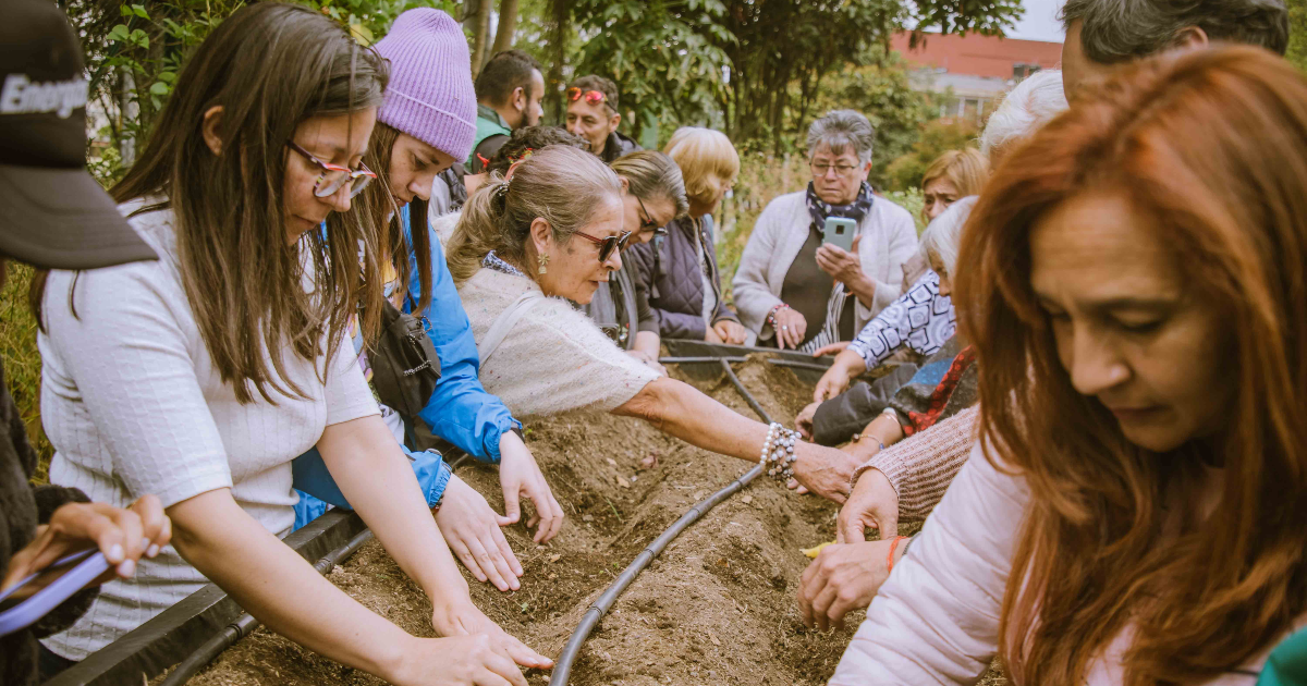 Imagen de personas sembrando semillas