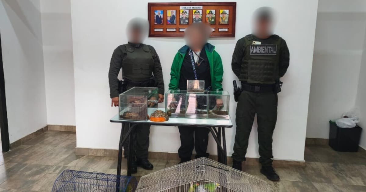Foto de las autoridades con animales recuperados por tráfico ilegal