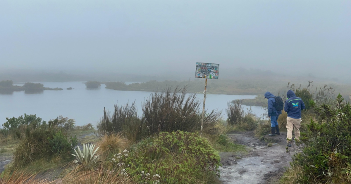 Imagen de dos funcionarios de la CAR en el páramo recuperado