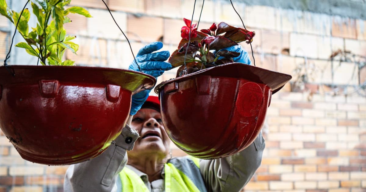 Funcionario de la UMV colgando un casco convertido en matera