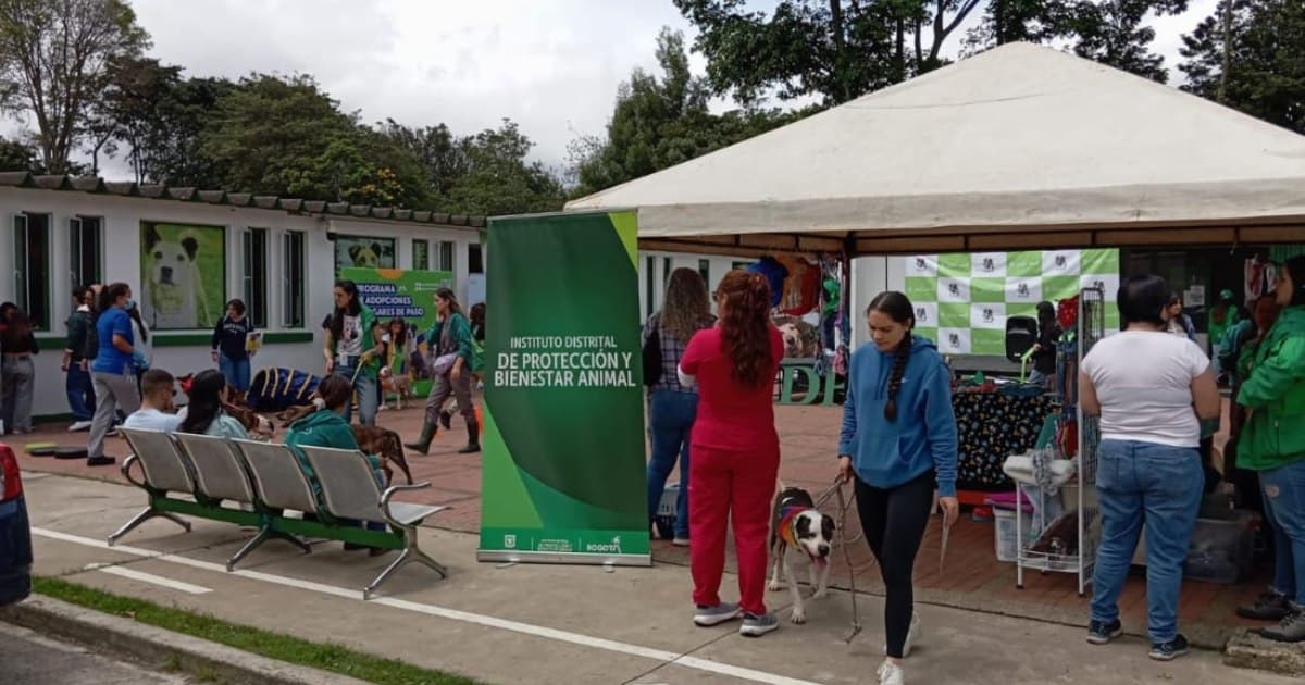 Foto de una jornada de esterilización en Bogotá