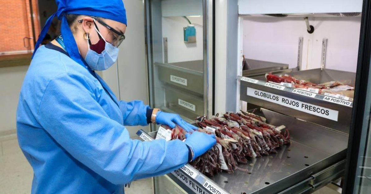 Foto de una enfermera que organiza bolsas de sangre en un laboratorio especializado.