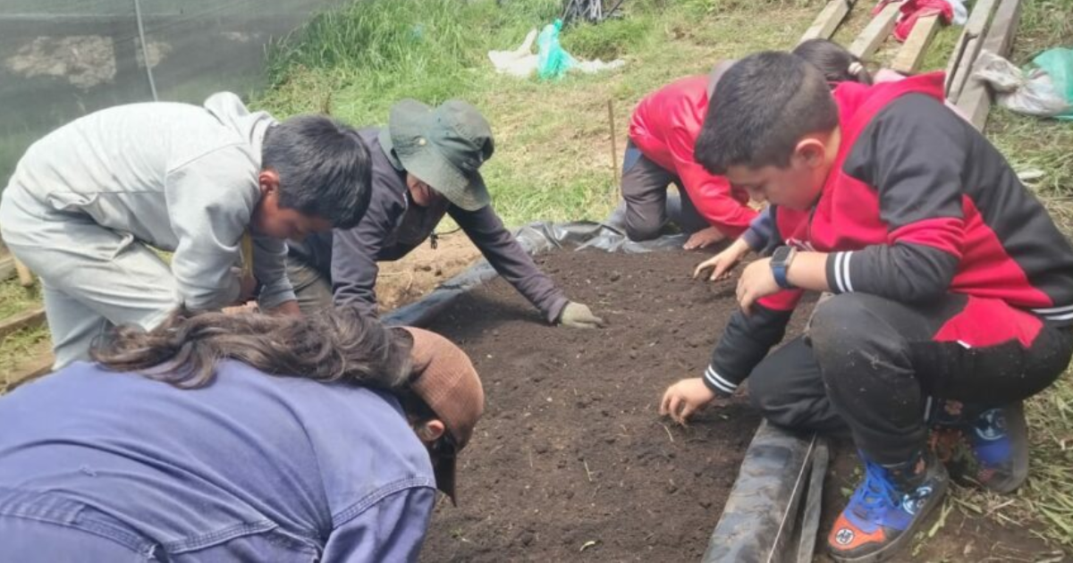 Foto de estudiantes cultivando la tierra