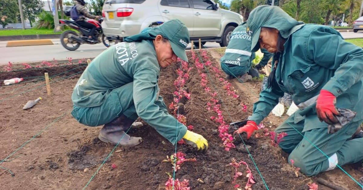 Dos personas trabajando en el espacio público de Bogotá
