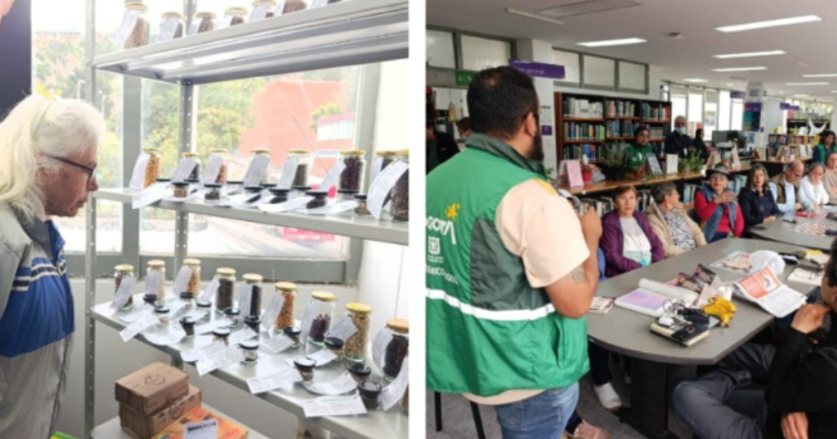 Dos imágenes en mosaico en las que se ven varias personas