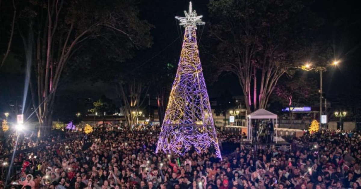 Imagen de árbol de navidad y personas