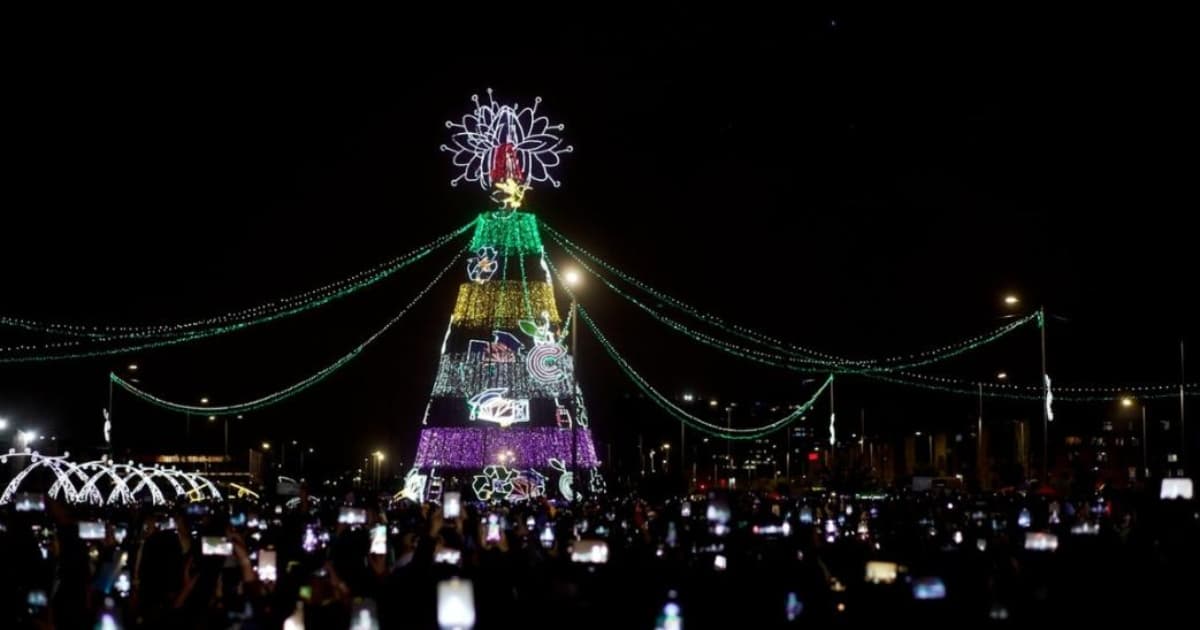Foto de un árbol de Navidad de gran altura en Bogotá.