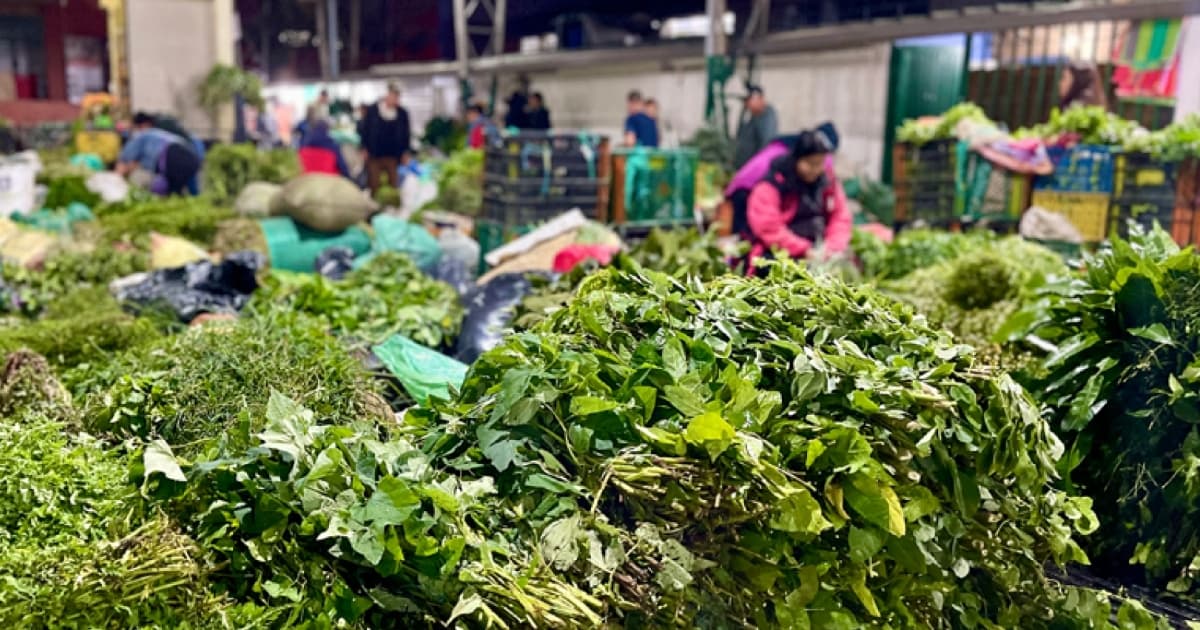 Foto de hierbas en la Plaza Distrital de Mercado Samper Mendoza en Bogotá.