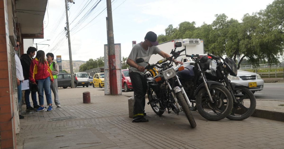 Foto de funcionarios del Distito en jornada de embellecimiento