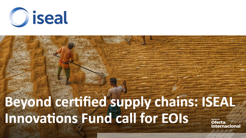 ISEAL Innovations Fund: apoyo a proyectos para productores fuera de cadenas certificadas