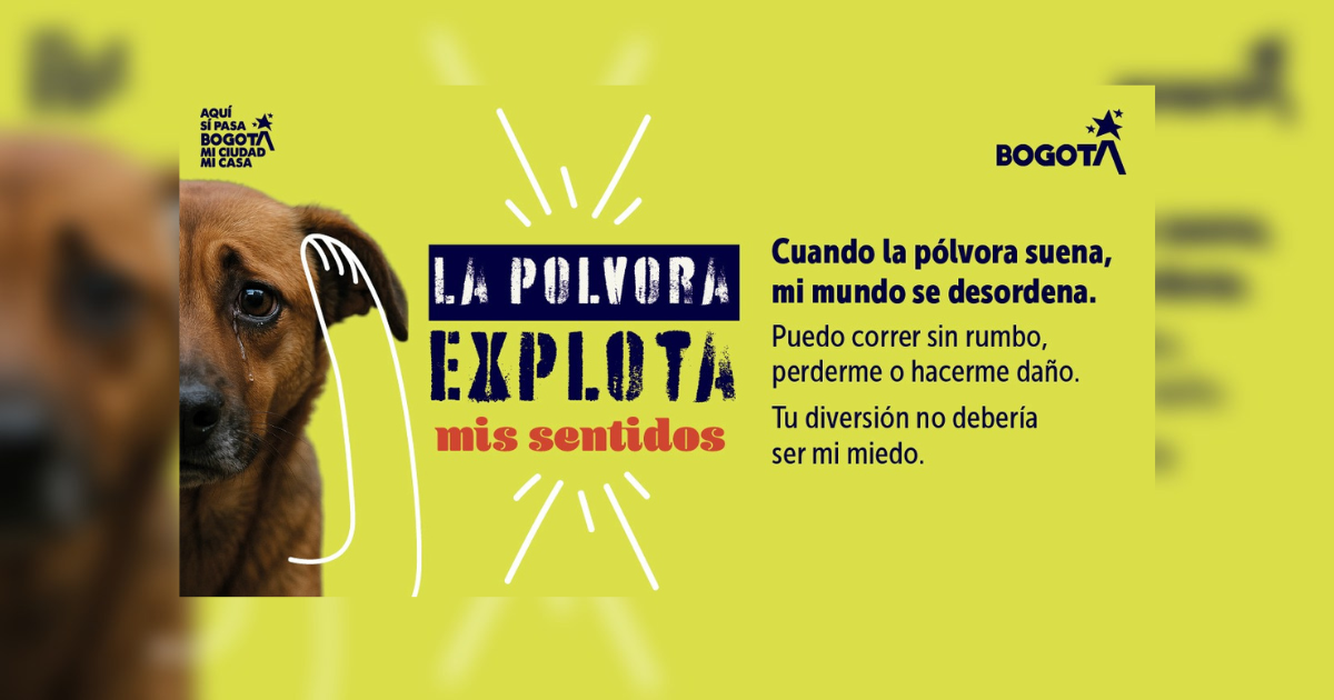 Pieza gráfica invitando a proteger a los animales de pólvora