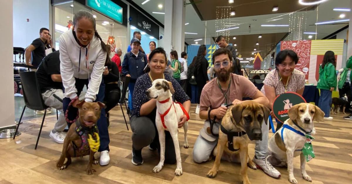 Cuatro perros adoptados 