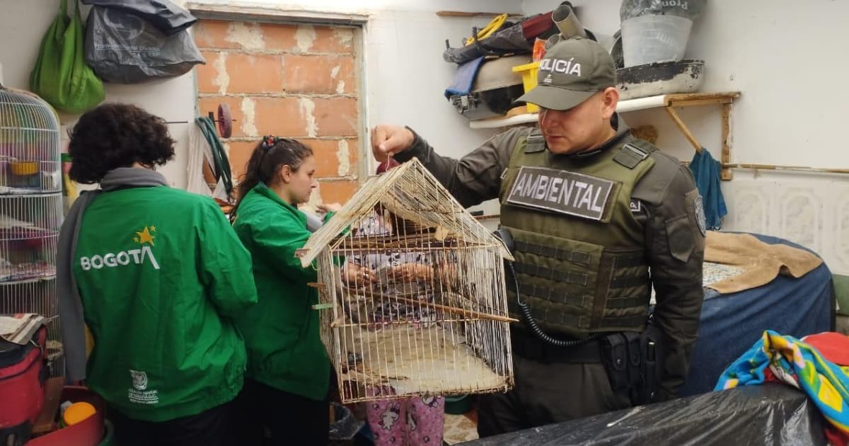 Jaula en la que tenían de mascota un animal silvestre