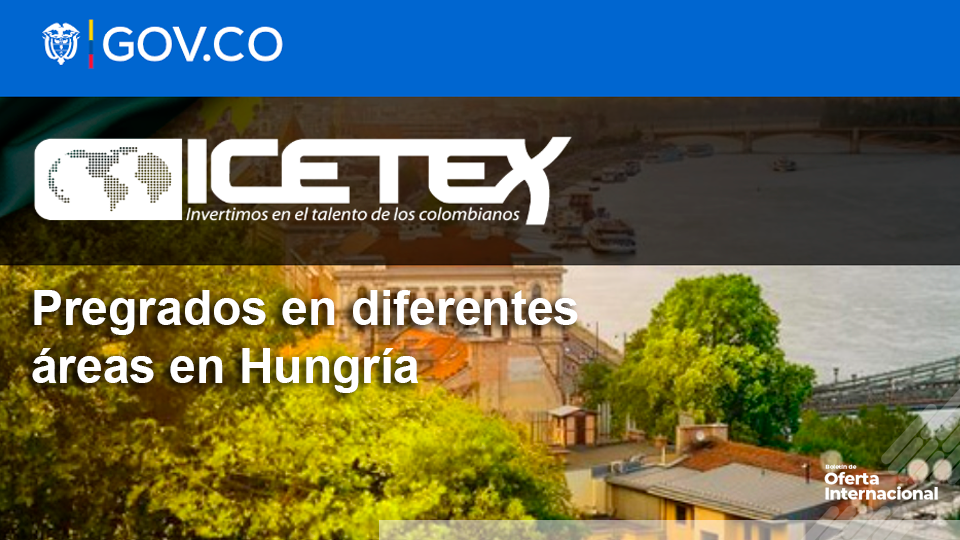 Programas de pregrado ofrecidos por universidades en diferentes ciudades de Hungría.