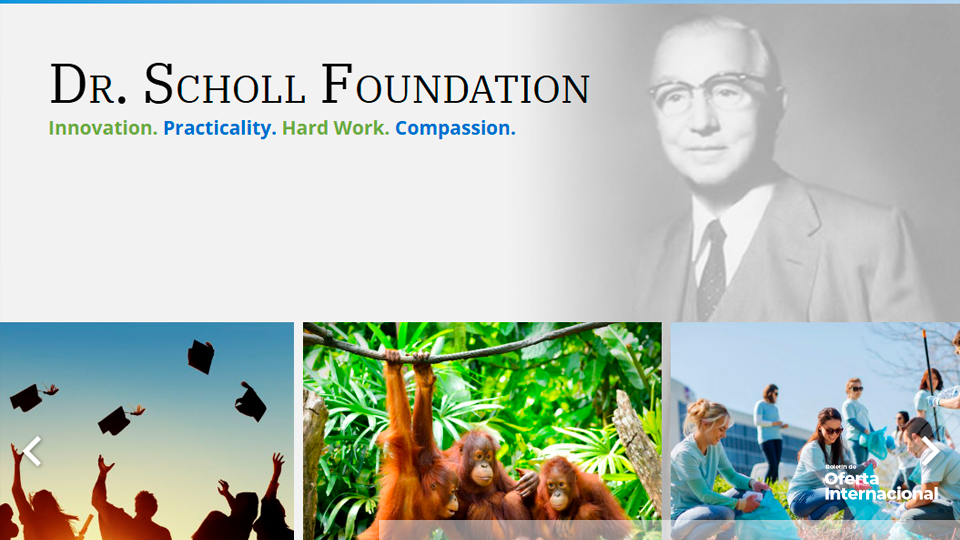 Organizaciones sociales desarrollando proyectos con impacto comunitario.