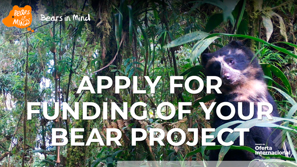 Bears in Mind abre convocatoria para conservación del oso andino en Bogotá