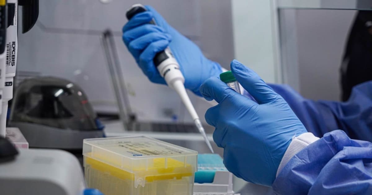 Médico revisando una donación de sangre