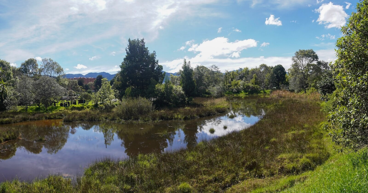 Foto de un humedal en Bogotá 