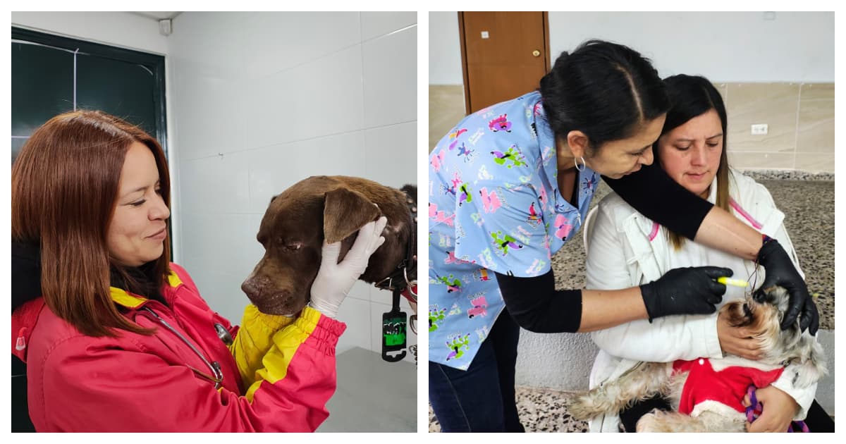 Personas cuidando animales en Usme