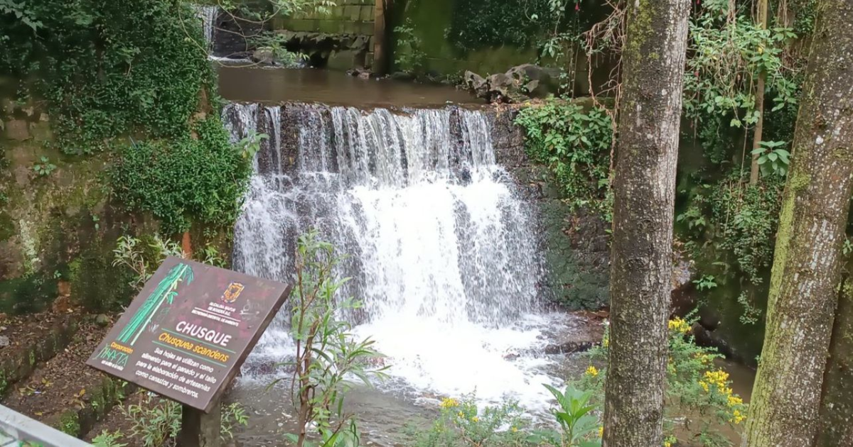 Imagen de una cascada donde se realizan caminatas 