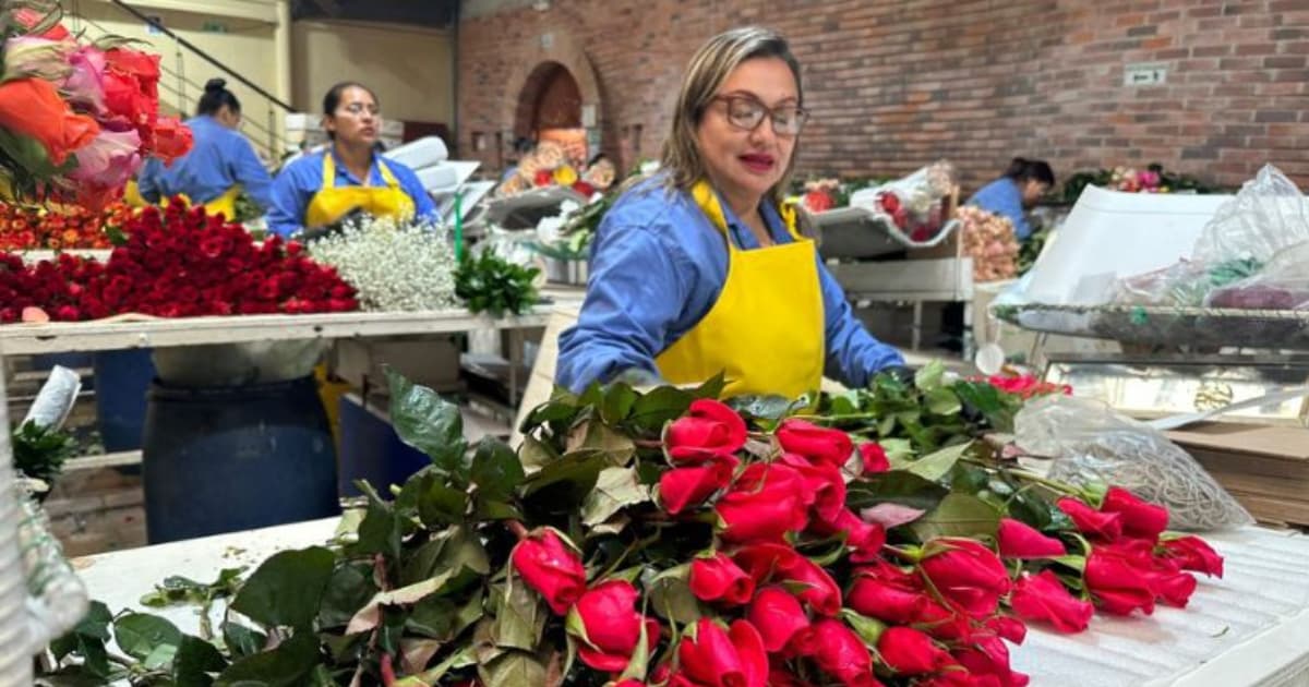 Un mujer de cundinamarca alistando rosas rojas