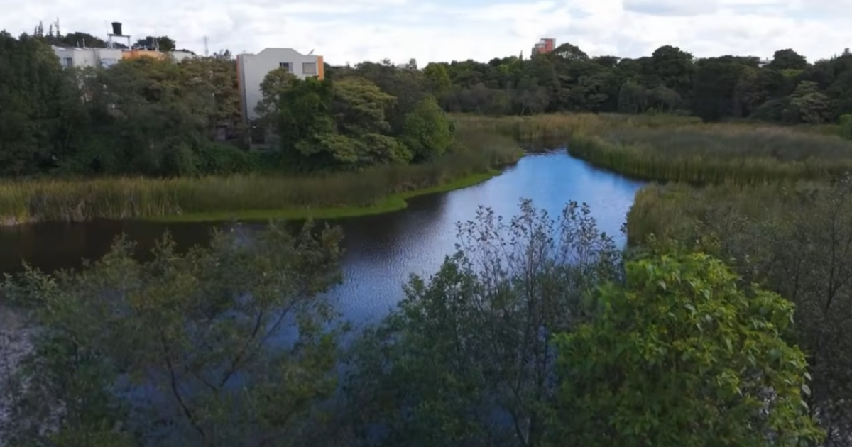 Imagen panorámica del Humedal Santa María del Lago