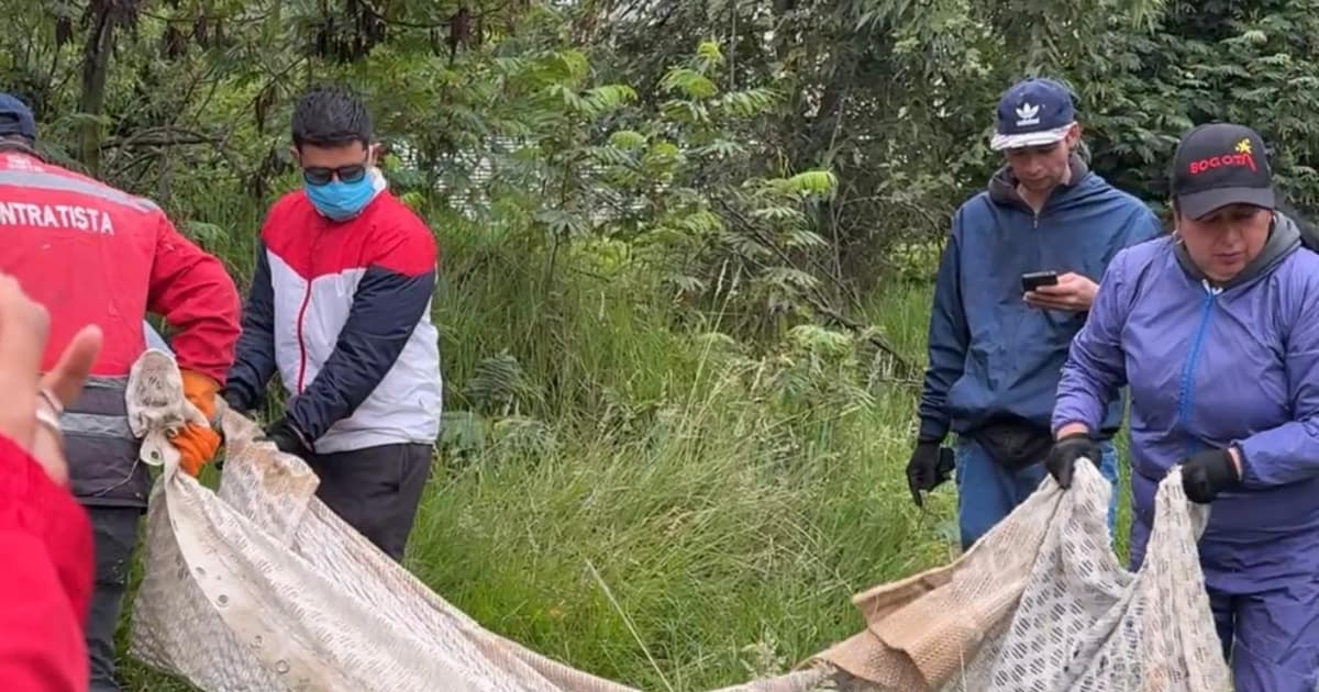 Equipo de Más Territorio, personas de la Secretaría de Seguridad y la Policía Nacional, retirando basura. 