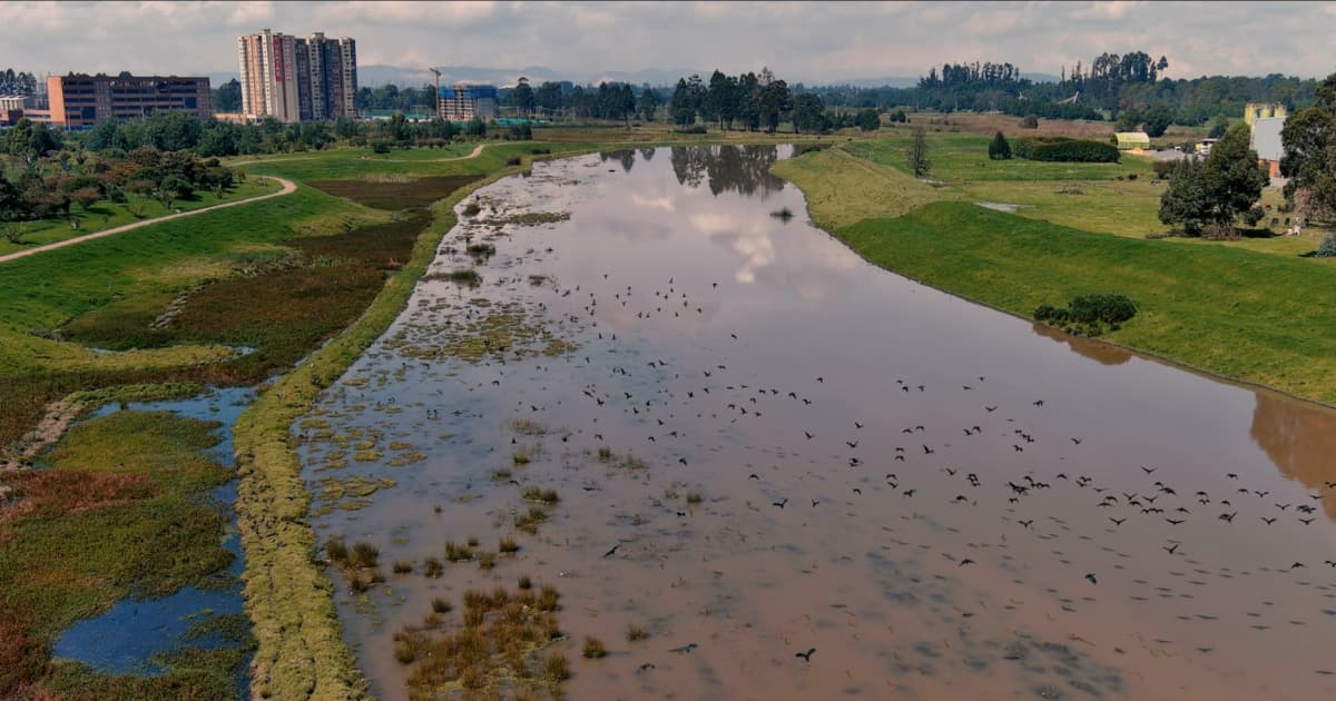 Obras de control hidráulico en el río Bogotá
