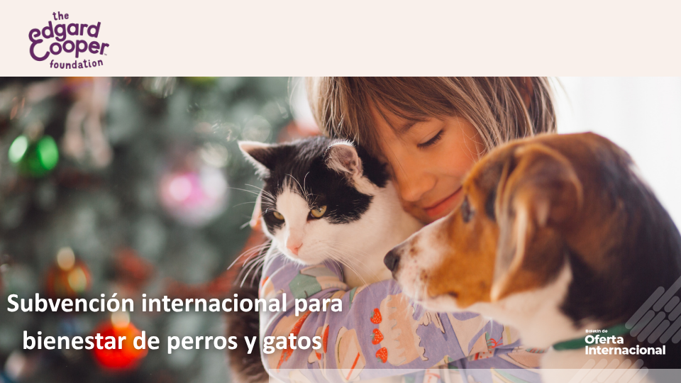 Financiación internacional para proyectos de bienestar animal
